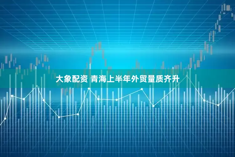 大象配资 青海上半年外贸量质齐升